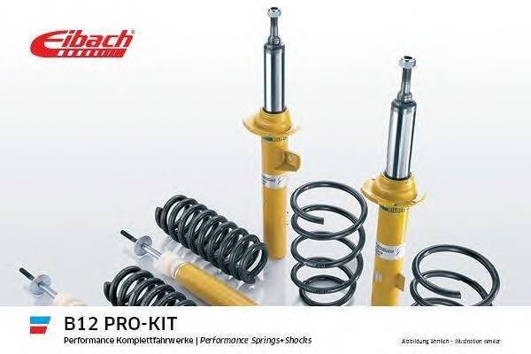 EIBACH E90250020222