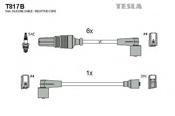 TESLA T817B