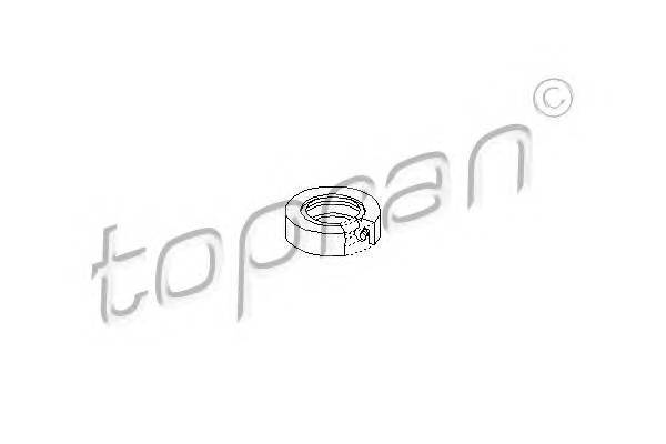 TOPRAN 100079